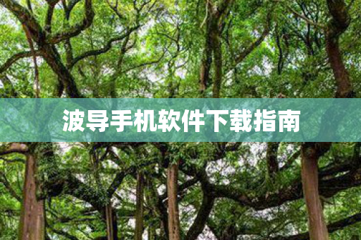 波导手机软件下载指南图片