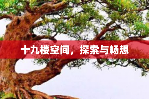 十九楼空间图片