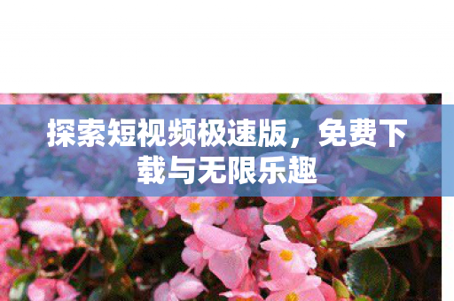 免费下载与无限乐趣图片