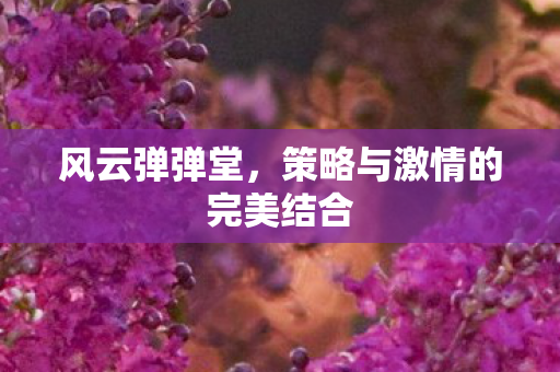 策略与激情的完美结合图片