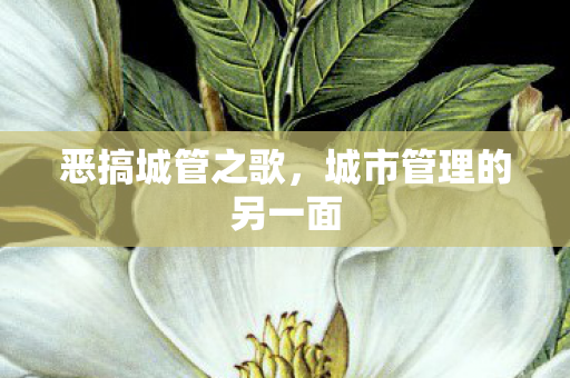 城市管理的另一面图片