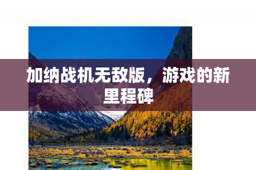 加纳战机无敌版图片
