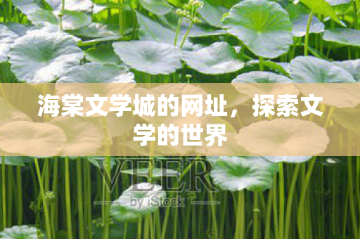 海棠文学城的网址图片