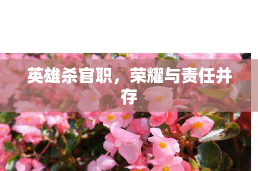 荣耀与责任并存图片