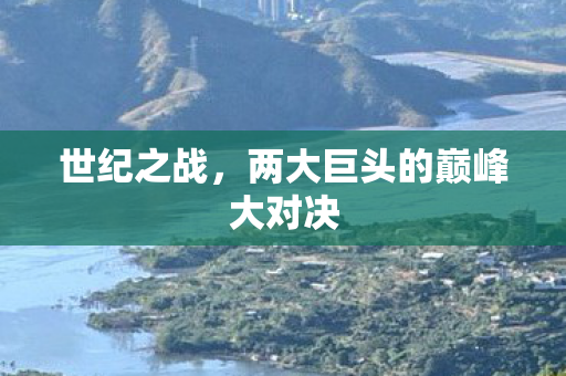 两大巨头的巅峰大对决图片