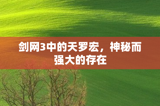 剑网3中的天罗宏图片
