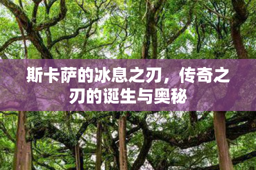 传奇之刃的诞生与奥秘图片
