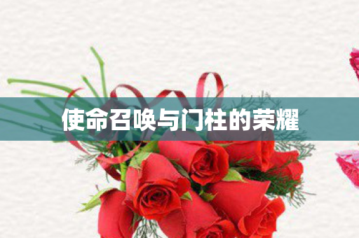 使命召唤与门柱的荣耀图片