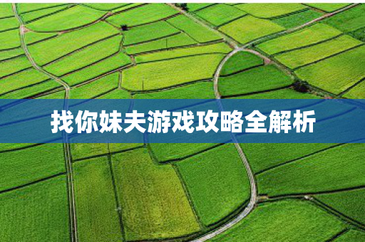 找你妹夫游戏攻略全解析图片