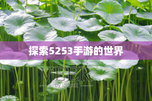 探索5253手游的世界图片