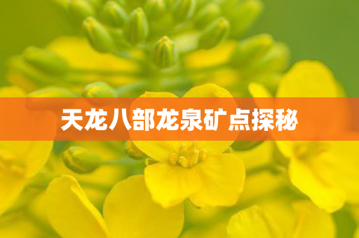 天龙八部龙泉矿点探秘图片