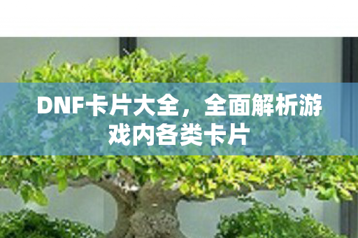 全面解析游戏内各类卡片图片