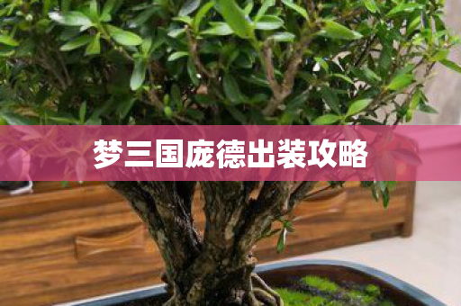 梦三国庞德出装攻略图片