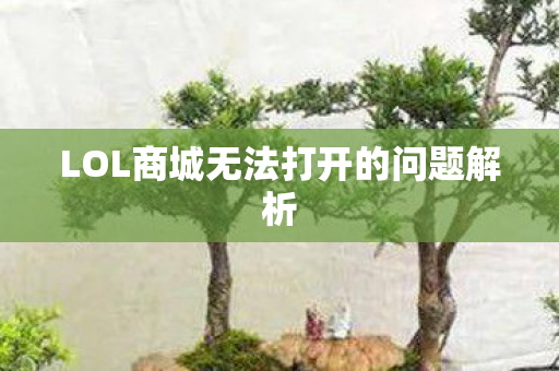 LOL商城无法打开的问题解析图片