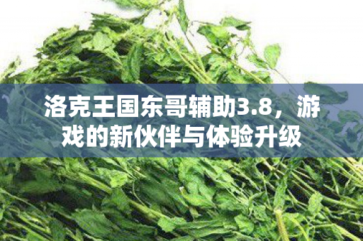 游戏的新伙伴与体验升级图片