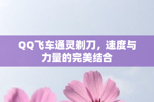 速度与力量的完美结合图片