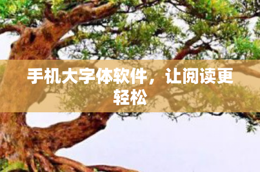 手机大字体软件图片