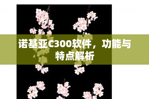 诺基亚C300软件图片