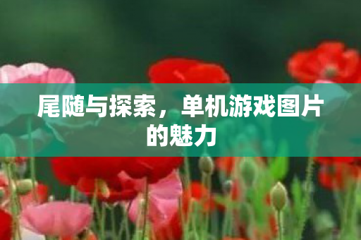 单机游戏图片的魅力图片