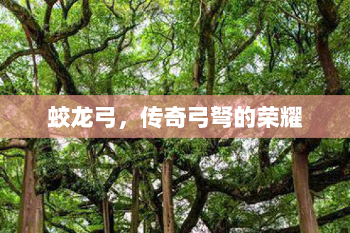 传奇弓弩的荣耀图片
