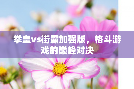 拳皇vs街霸加强版图片