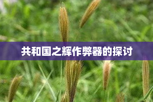 共和国之辉作弊器的探讨图片