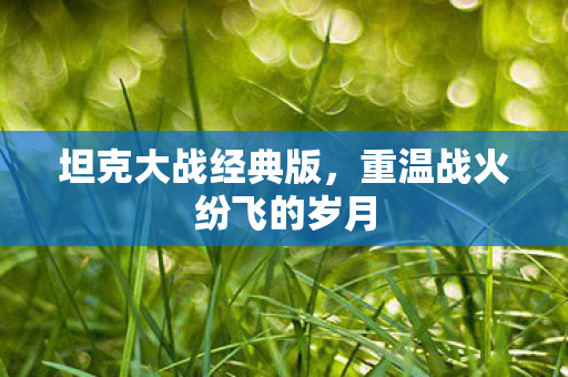 重温战火纷飞的岁月图片