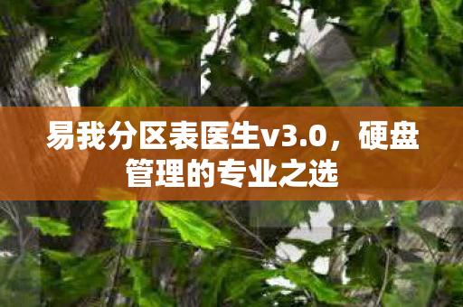 易我分区表医生v3图片