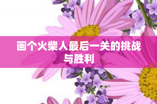 画个火柴人最后一关的挑战与胜利图片