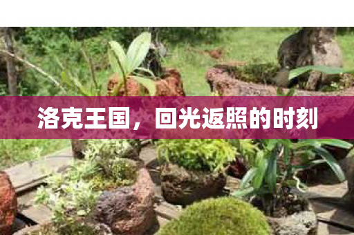 回光返照的时刻图片