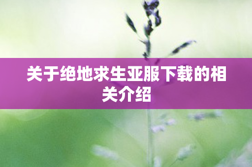 关于绝地求生亚服下载的相关介绍图片