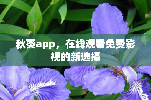 在线观看免费影视的新选择图片