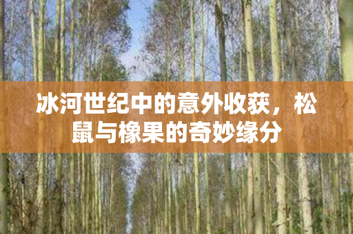 冰河世纪中的意外收获图片