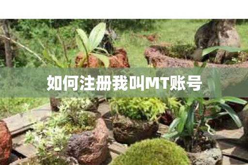 如何注册我叫MT账号图片