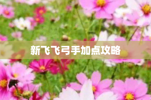 新飞飞弓手加点攻略图片