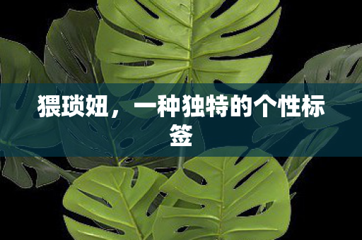 一种独特的个性标签图片