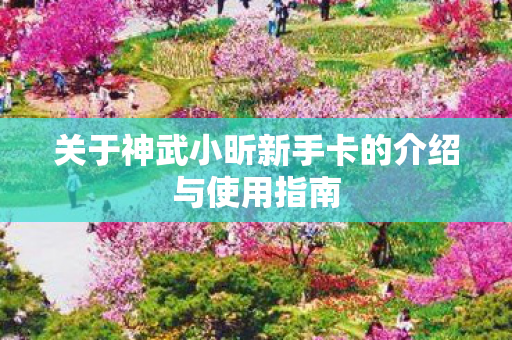 关于神武小昕新手卡的介绍与使用指南图片