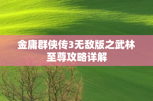 金庸群侠传3无敌版之武林至尊攻略详解图片