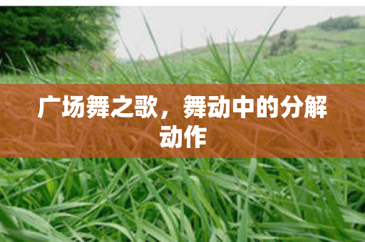 舞动中的分解动作图片