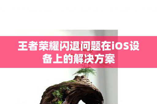 王者荣耀闪退问题在iOS设备上的解决方案图片