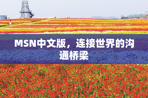 连接世界的沟通桥梁图片