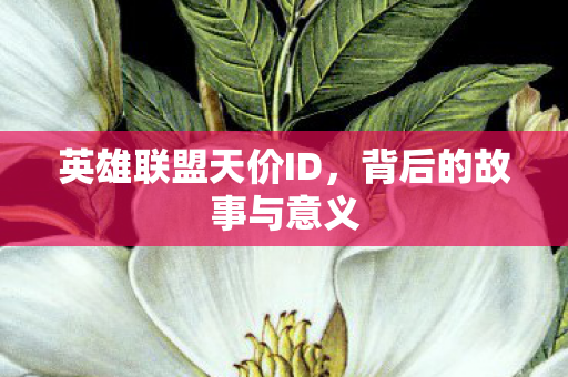英雄联盟天价ID图片