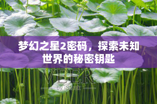 探索未知世界的秘密钥匙图片