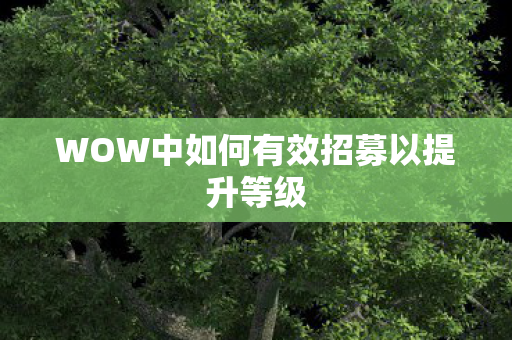 WOW中如何有效招募以提升等级图片