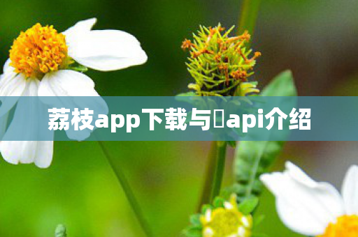 荔枝app下载与汅api介绍图片