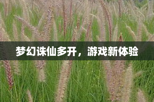 梦幻诛仙多开图片