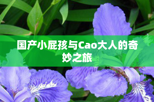 国产小屁孩与Cao大人的奇妙之旅图片