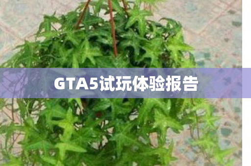GTA5试玩体验报告图片
