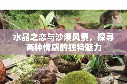 探寻两种情感的独特魅力图片