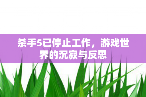游戏世界的沉寂与反思图片